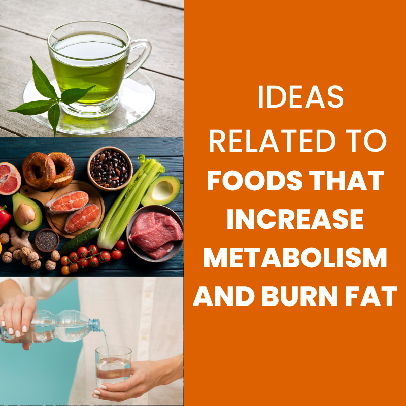 foods that increase metabolism and burn fat